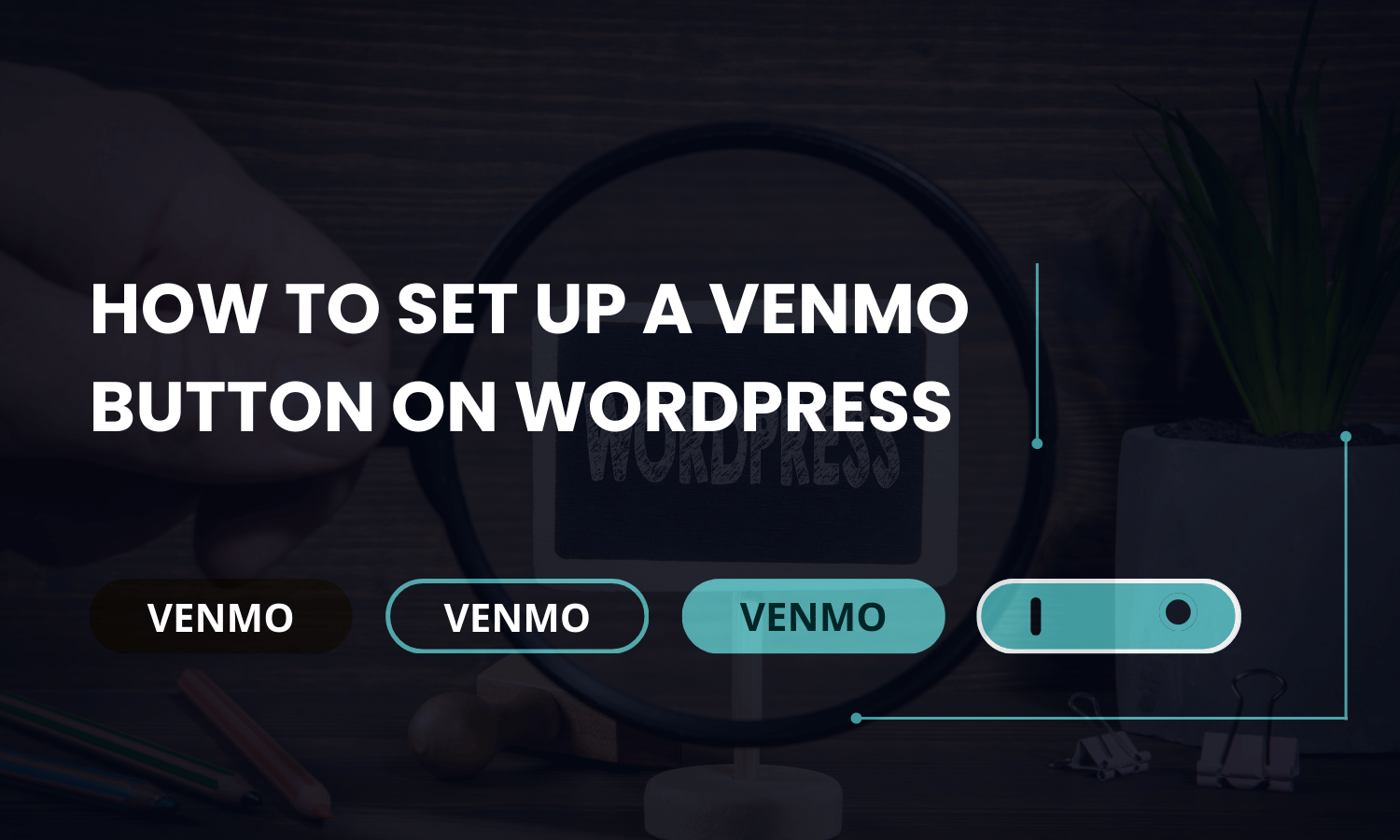 How to Set Up a Venmo Button on WordPress: Easy Step-by-Step Guide