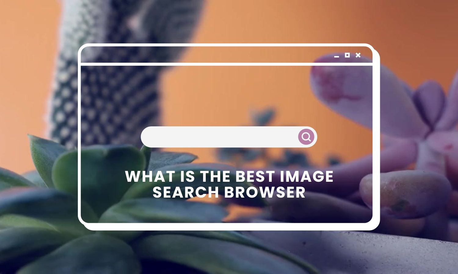 Best Image Search Browsers: Top Picks for Finding Images Online